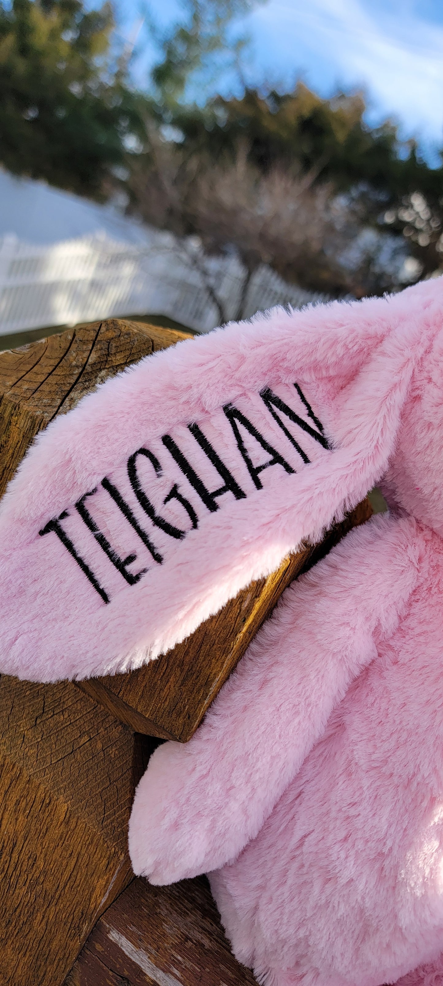 *PRE ORDER* Custom name bunny-due late March/Early April. Guaranteed for Easter.