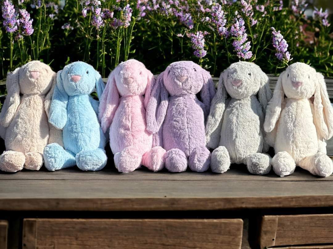 *PRE ORDER* Custom name bunny-due late March/Early April. Guaranteed for Easter.